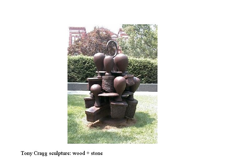 Tony Cragg sculpture: wood + stone 