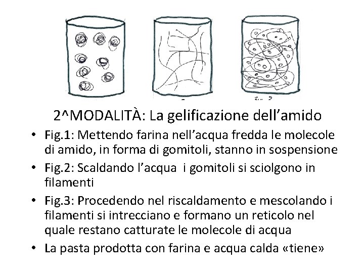 2^MODALITÀ: La gelificazione dell’amido • Fig. 1: Mettendo farina nell’acqua fredda le molecole di