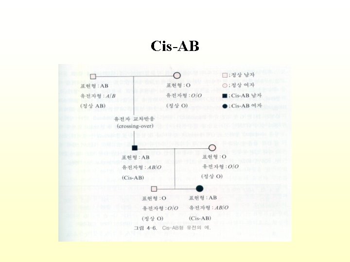 Cis-AB 