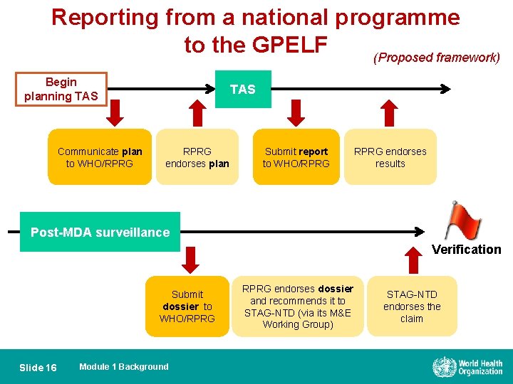 Reporting from a national programme to the GPELF (Proposed framework) Begin planning TAS Communicate