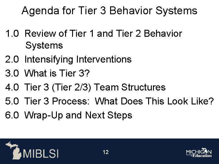 Agenda for Tier 3 Behavior Systems 1. 0 Review of Tier 1 and Tier