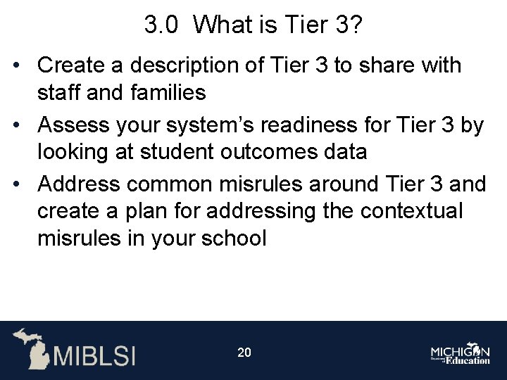3. 0 What is Tier 3? • Create a description of Tier 3 to