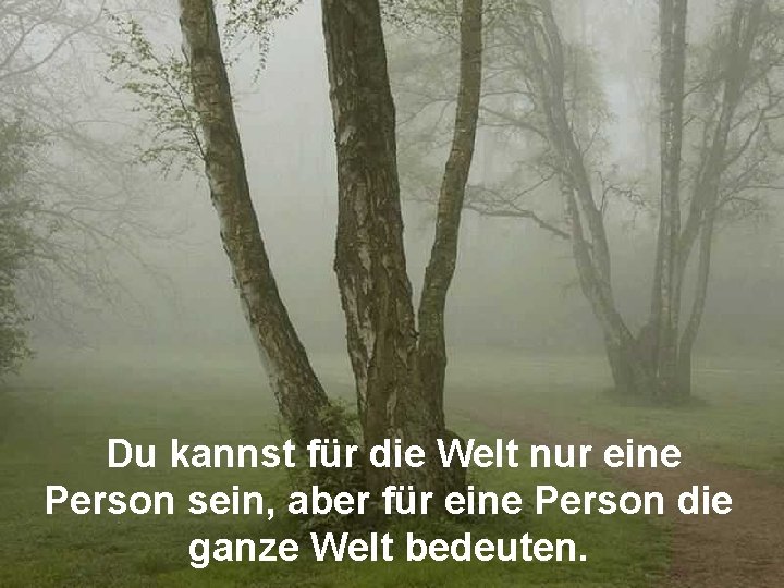 Du kannst für die Welt nur eine Person sein, aber für eine Person die