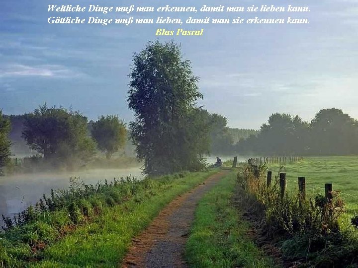 Weltliche Dinge muß man erkennen, damit man sie lieben kann. Göttliche Dinge muß man