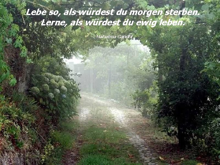 Lebe so, als würdest du morgen sterben. Lerne, als würdest du ewig leben. Mahatma