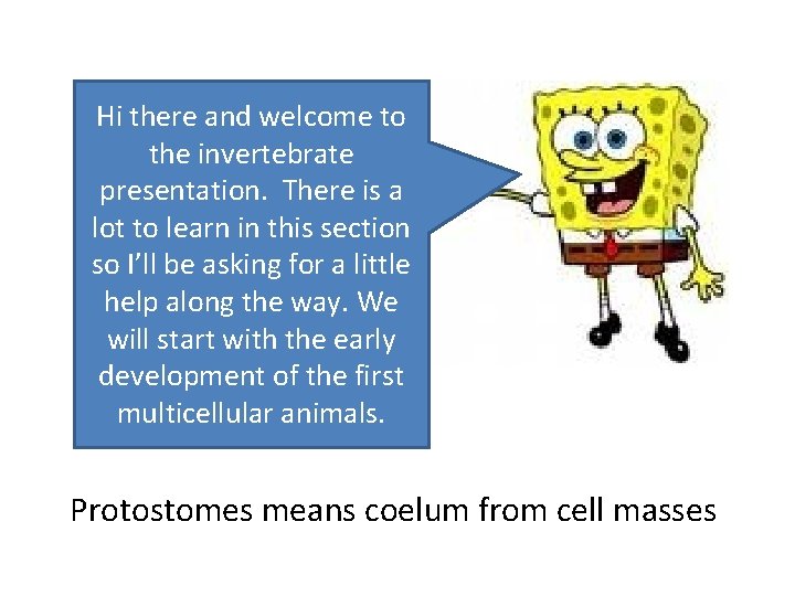 Hi there and welcome to the invertebrate presentation. There is a lot to learn