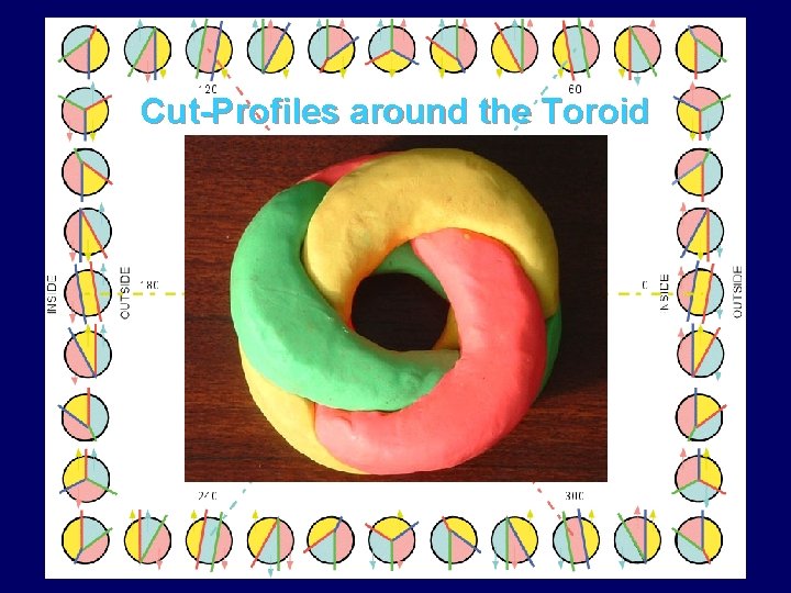 Cut-Profiles around the Toroid 