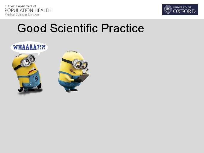 Good Scientific Practice 