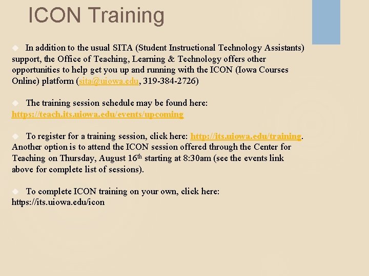 ICON Training In addition to the usual SITA (Student Instructional Technology Assistants) support, the