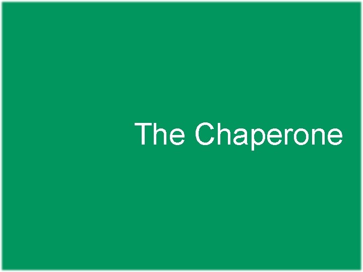 The Chaperone 