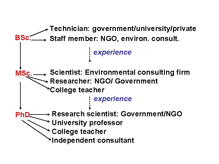 BSc. Technician: government/university/private Staff member: NGO, environ. consult. experience MSc. Scientist: Environmental consulting firm BSc. Technician: government/university/private Staff member: NGO, environ. consult. experience MSc. Scientist: Environmental consulting firm