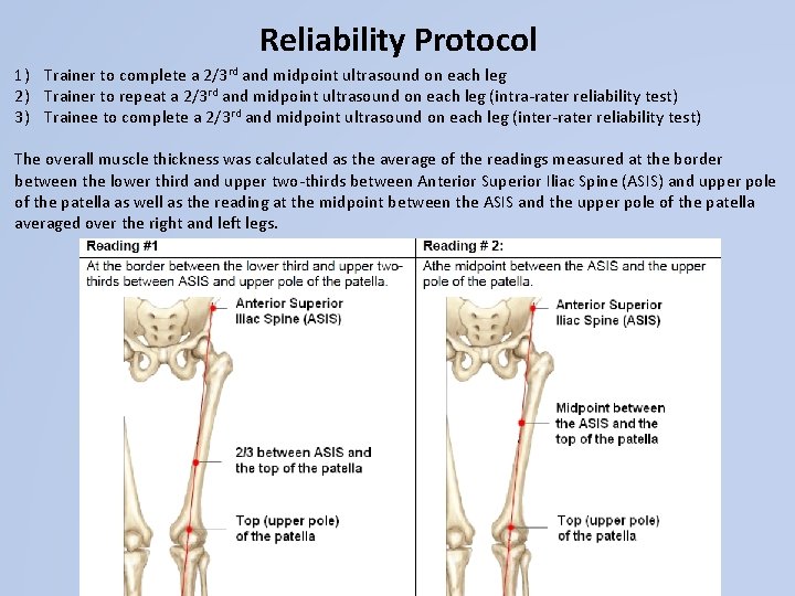 Reliability Protocol 1) Trainer to complete a 2/3 rd and midpoint ultrasound on each