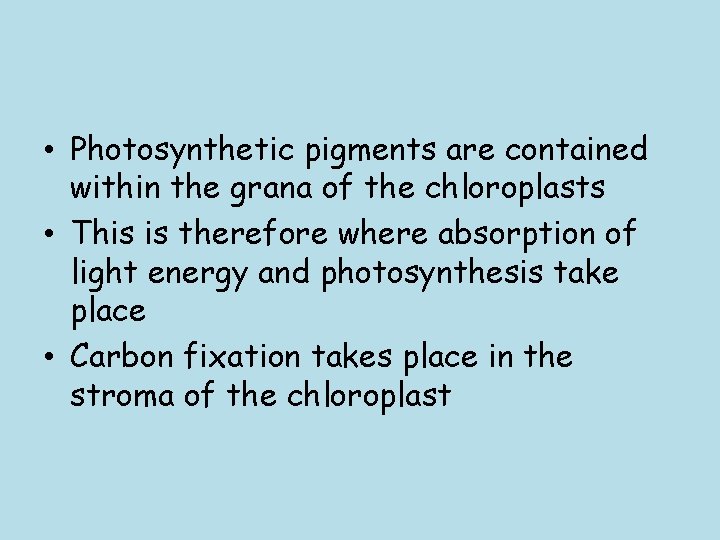  • Photosynthetic pigments are contained within the grana of the chloroplasts • This