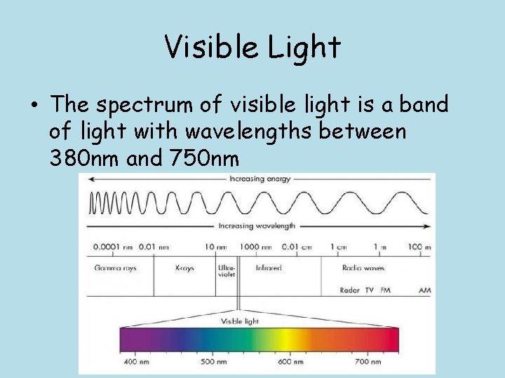 Visible Light • The spectrum of visible light is a band of light with