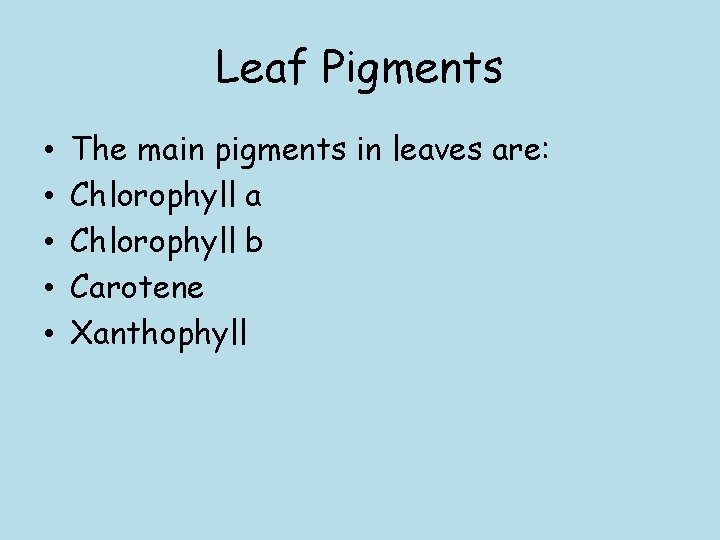 Leaf Pigments • • • The main pigments in leaves are: Chlorophyll a Chlorophyll