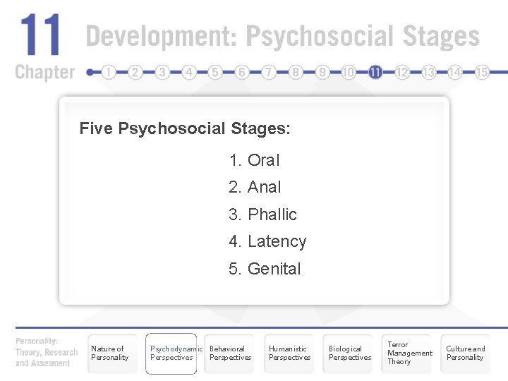 Five Psychosocial Stages: 1. Oral 2. Anal 3. Phallic 4. Latency 5. Genital Nature