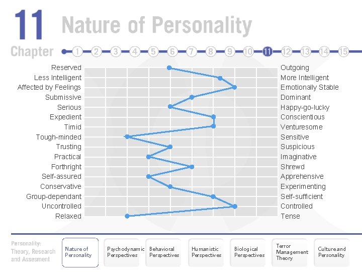 Reserved Less Intelligent Affected by Feelings Submissive Serious Expedient Timid Tough-minded Trusting Practical Forthright