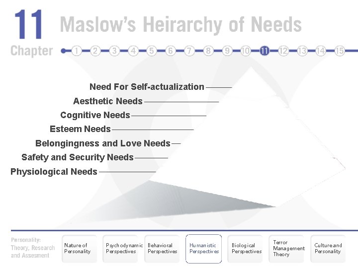 Need For Self-actualization Aesthetic Needs Cognitive Needs Esteem Needs Belongingness and Love Needs Safety