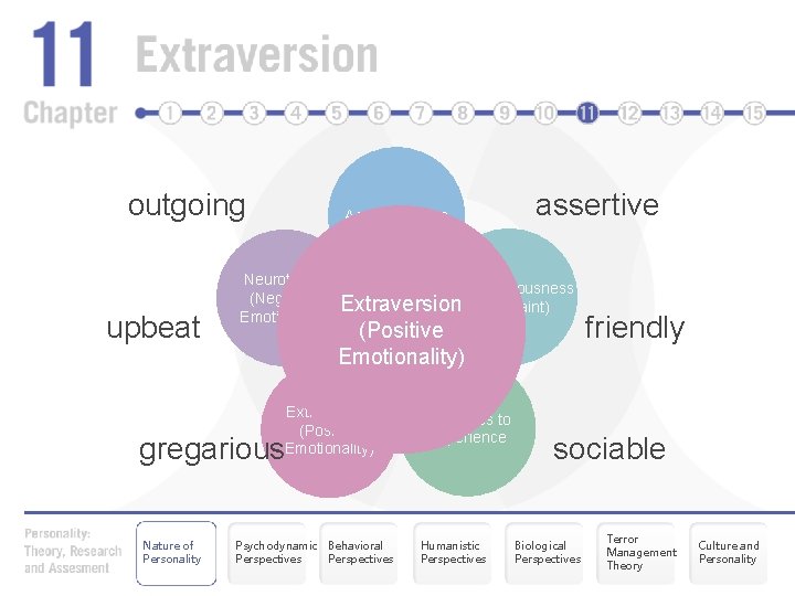 outgoing upbeat Agreeableness Neuroticism (Negative Emotionality) Conscientiousness Extraversion (Constraint) (Positive Emotionality) Extraversion (Positive Emotionality)