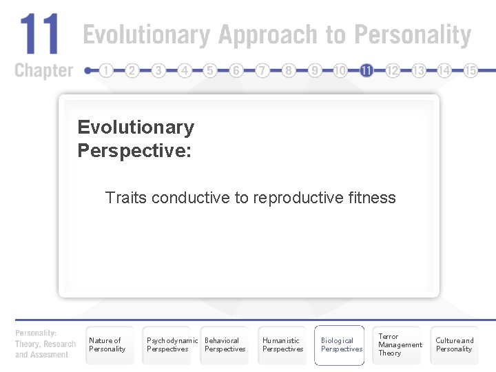 Evolutionary Perspective: Traits conductive to reproductive fitness Nature of Personality Psychodynamic Behavioral Perspectives Humanistic