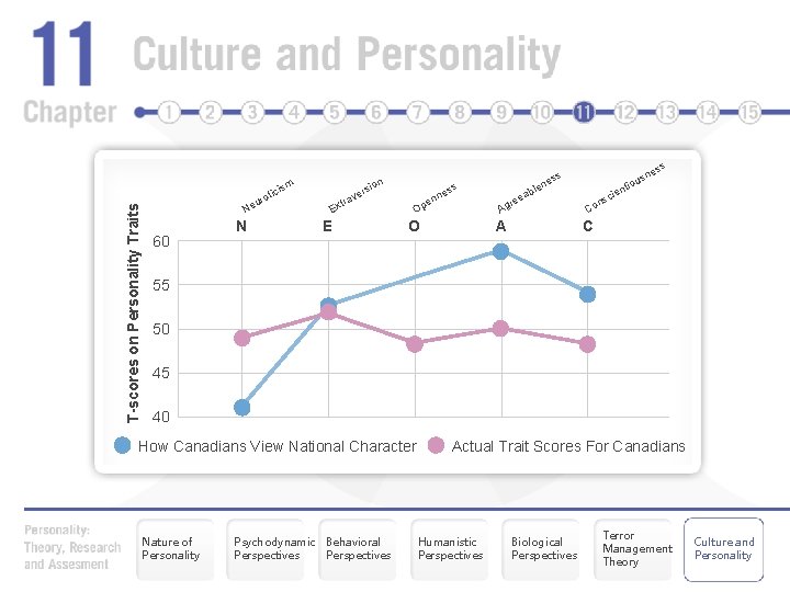 T-scores on Personality Traits sm tici o r u Ne 60 N ion ers