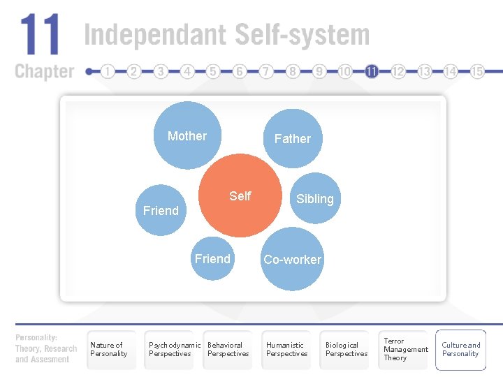 Mother Father Self Friend Nature of Personality Psychodynamic Behavioral Perspectives Sibling Co-worker Humanistic Perspectives