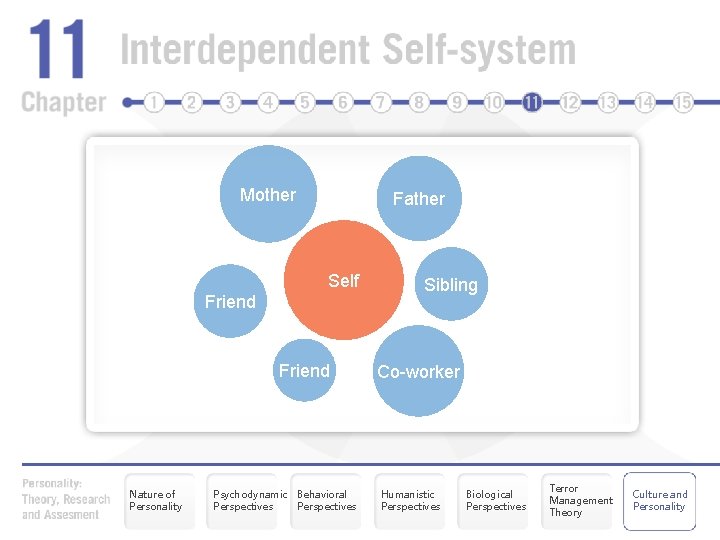 Mother Father Self Friend Nature of Personality Psychodynamic Behavioral Perspectives Sibling Co-worker Humanistic Perspectives
