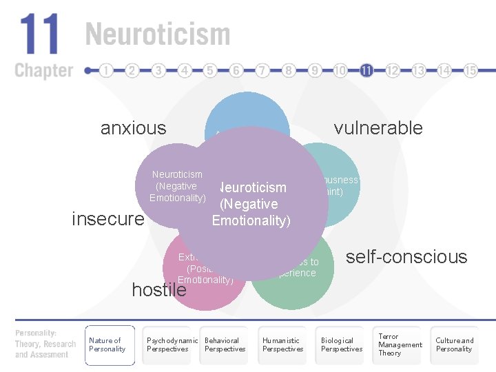 anxious Agreeableness Neuroticism (Negative Emotionality) insecure vulnerable Conscientiousness Neuroticism (Constraint) (Negative Emotionality) Extraversion (Positive