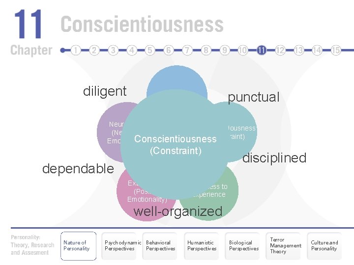 diligent Agreeableness punctual Neuroticism Conscientiousness (Negative (Constraint) Conscientiousness Emotionality) (Constraint) dependable Extraversion (Positive Emotionality)