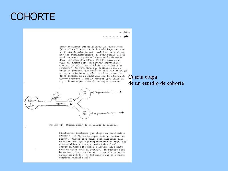 COHORTE Cuarta etapa de un estudio de cohorte 