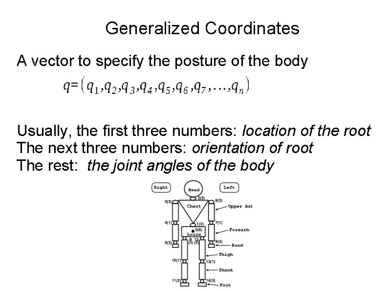 Generalized Coordinates A vector to specify the posture of the body Usually, the first Generalized Coordinates A vector to specify the posture of the body Usually, the first