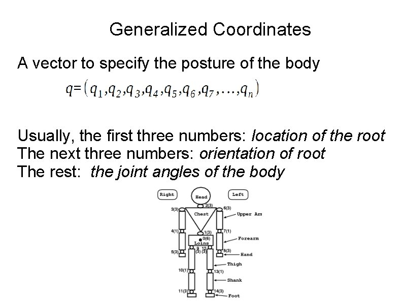 Generalized Coordinates A vector to specify the posture of the body Usually, the first
