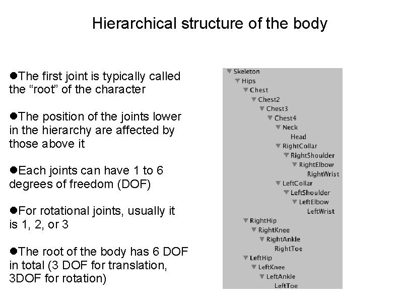 Hierarchical structure of the body The first joint is typically called the “root” of