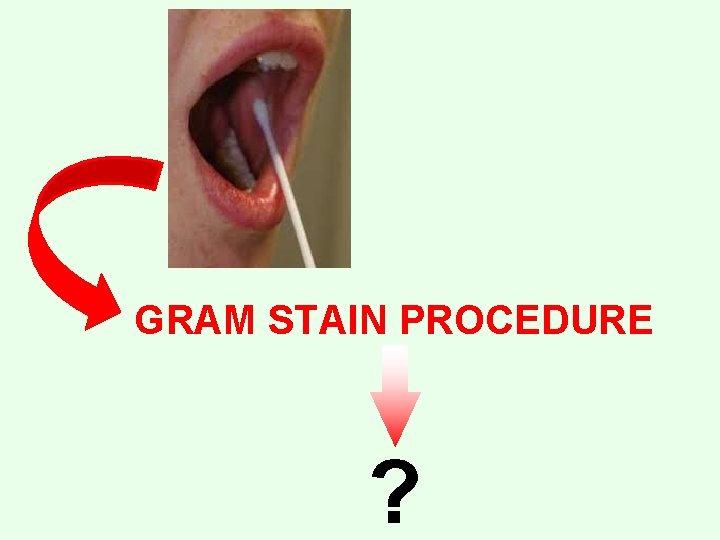 GRAM STAIN PROCEDURE ? 