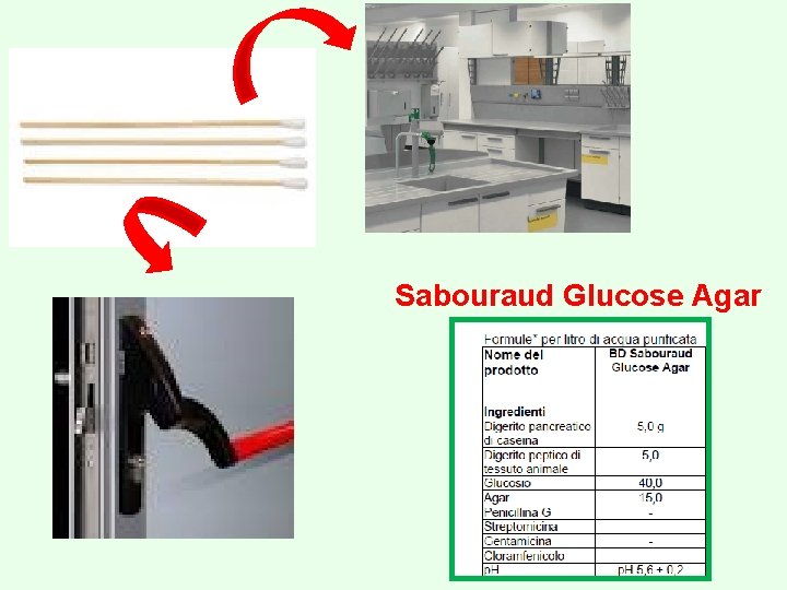 Sabouraud Glucose Agar 