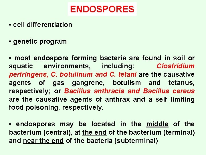 ENDOSPORES • cell differentiation • genetic program • most endospore forming bacteria are found