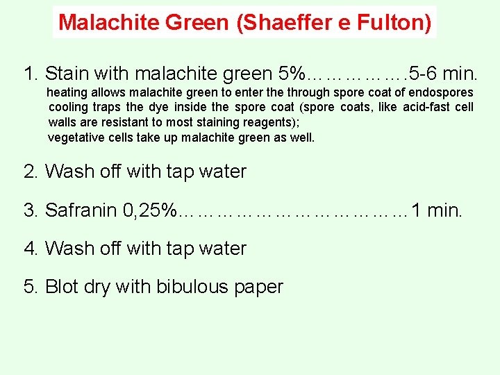 Malachite Green (Shaeffer e Fulton) 1. Stain with malachite green 5%……………. 5 -6 min.