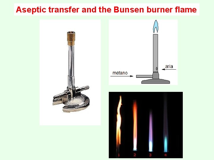 Aseptic transfer and the Bunsen burner flame 