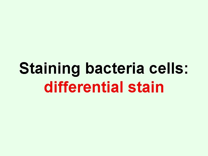 Staining bacteria cells: differential stain 