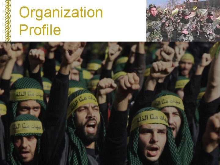 H e z b o l l a h Organization Profile 