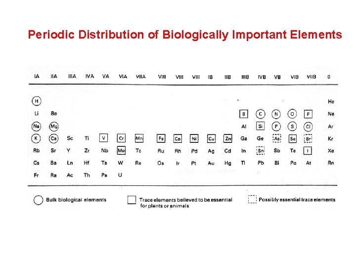 Periodic Distribution of Biologically Important Elements 