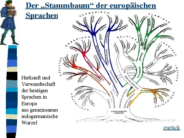 Der „Stammbaum“ der europäischen Sprachen Herkunft und Verwandtschaft der heutigen Sprachen in Europa aus