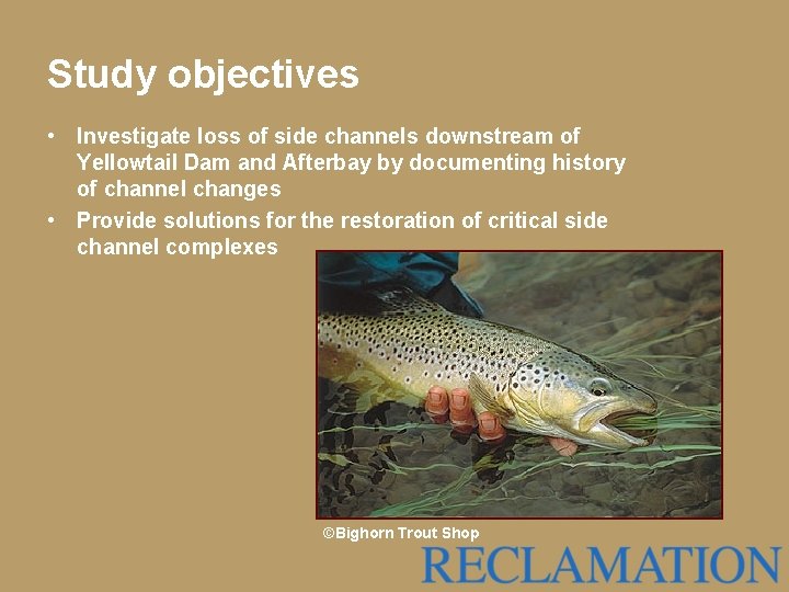 Study objectives • Investigate loss of side channels downstream of Yellowtail Dam and Afterbay