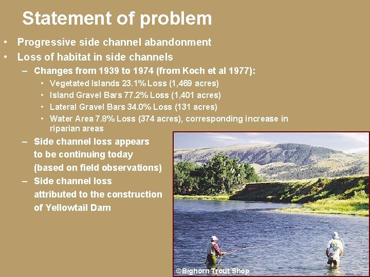 Statement of problem • Progressive side channel abandonment • Loss of habitat in side