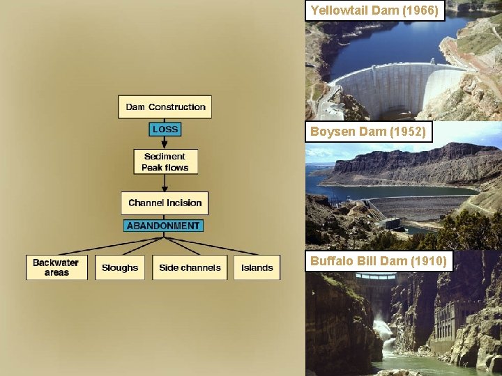 Yellowtail Dam (1966) Boysen Dam (1952) Buffalo Bill Dam (1910) 