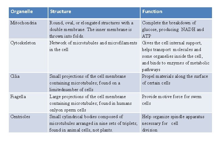 Organelle Structure Mitochondria Round, oval, or elongated structures with a double membrane. The inner