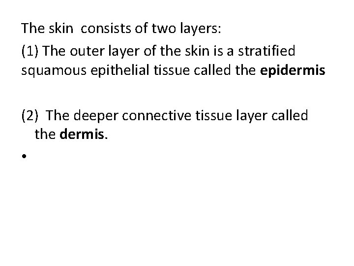 The skin consists of two layers: (1) The outer layer of the skin is