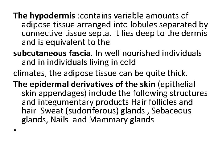 The hypodermis : contains variable amounts of adipose tissue arranged into lobules separated by