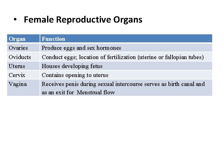  • Female Reproductive Organs Organ Function Ovaries Oviducts Uterus Cervix Vagina Produce eggs