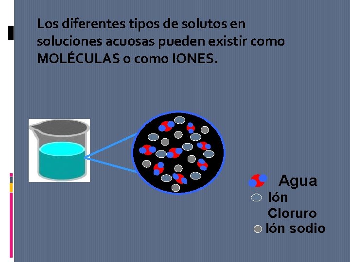 Los diferentes tipos de solutos en soluciones acuosas pueden existir como MOLÉCULAS o como